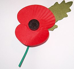 Remembrance Sunday. Royal British Legion's Paper Poppy